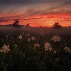 吉冈奈奈子熟女av
