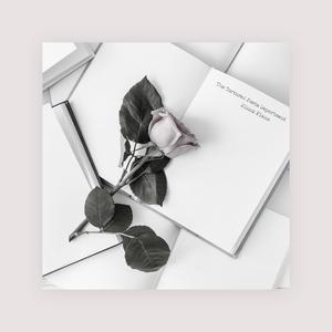 吉冈奈奈子熟女av
